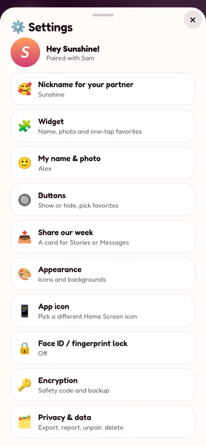 Settings list with nickname, widget, lock and encryption